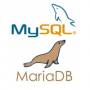 mariadb_et_mysql.jpeg